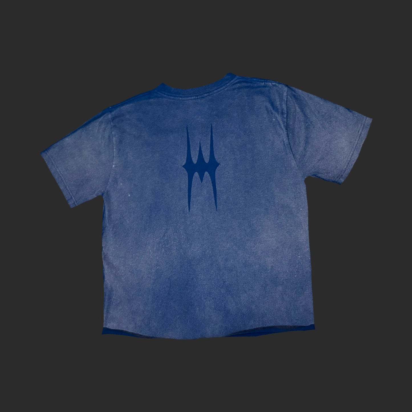 Faded Cropped Tee