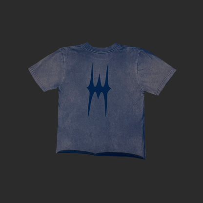 Faded Cropped Tee