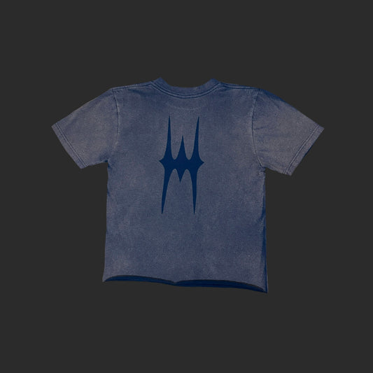 Faded Cropped Tee